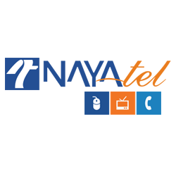 Nayatel logo