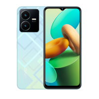 Vivo Y22